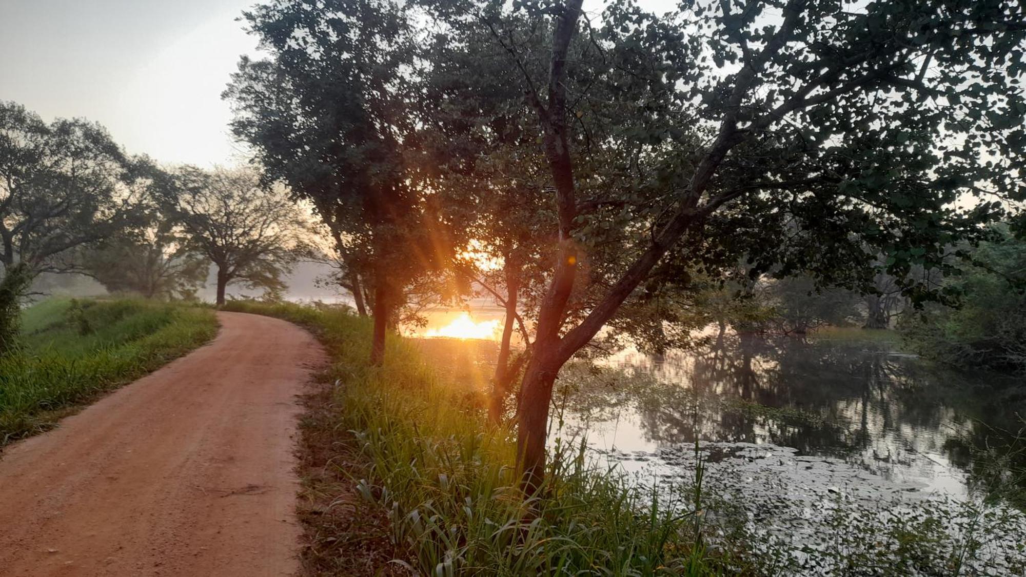 Wild View Stay Хабарана Екстериор снимка